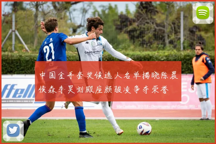 中国金手套奖候选人名单揭晓陈晨侯森李昊刘殿座颜骏凌争夺荣誉