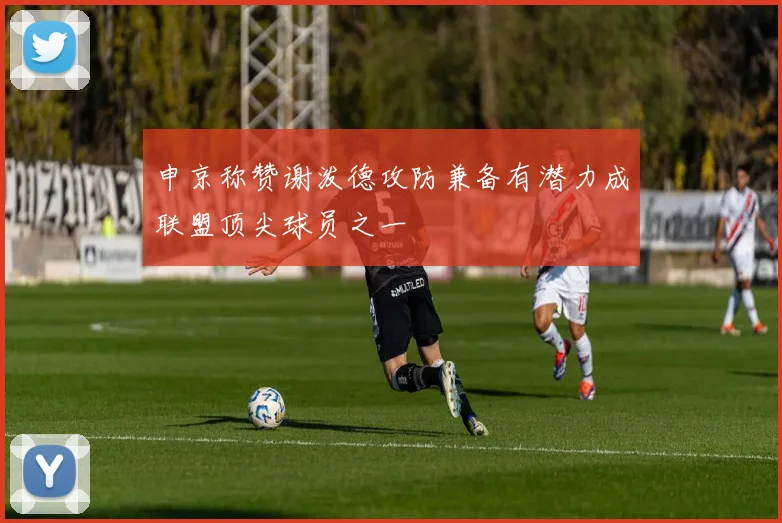 申京称赞谢泼德攻防兼备有潜力成联盟顶尖球员之一