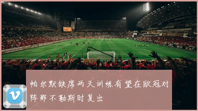 帕尔默缺席两天训练有望在欧冠对阵那不勒斯时复出