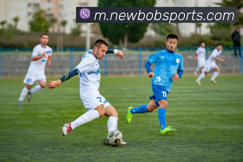 BOB体育品牌故事