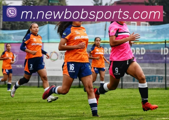 BOB体育服务体系